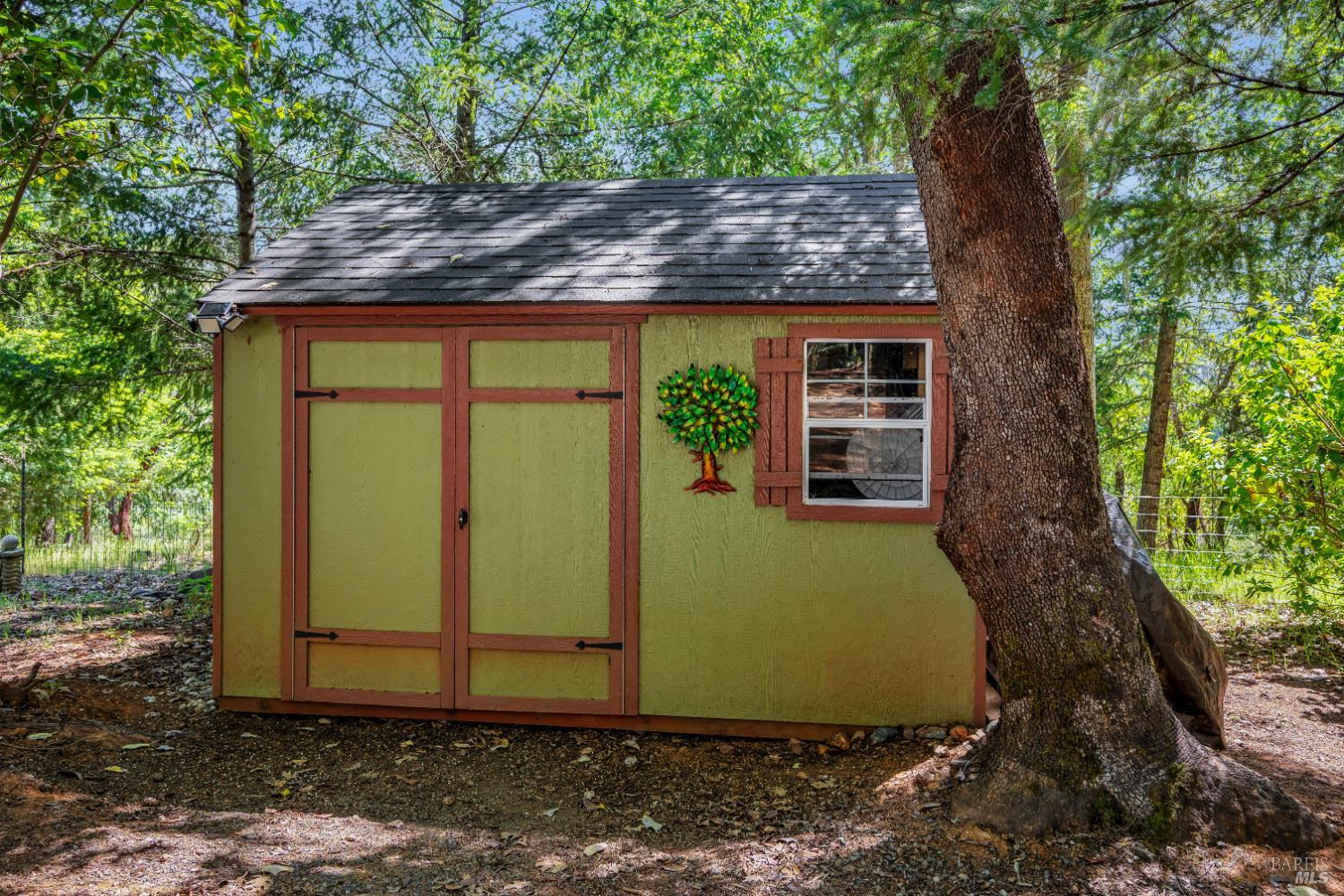 3970 Canyon Road Willits, CA 95490 - Photo 31 of 67 a view of a backyard with plants and large tree
