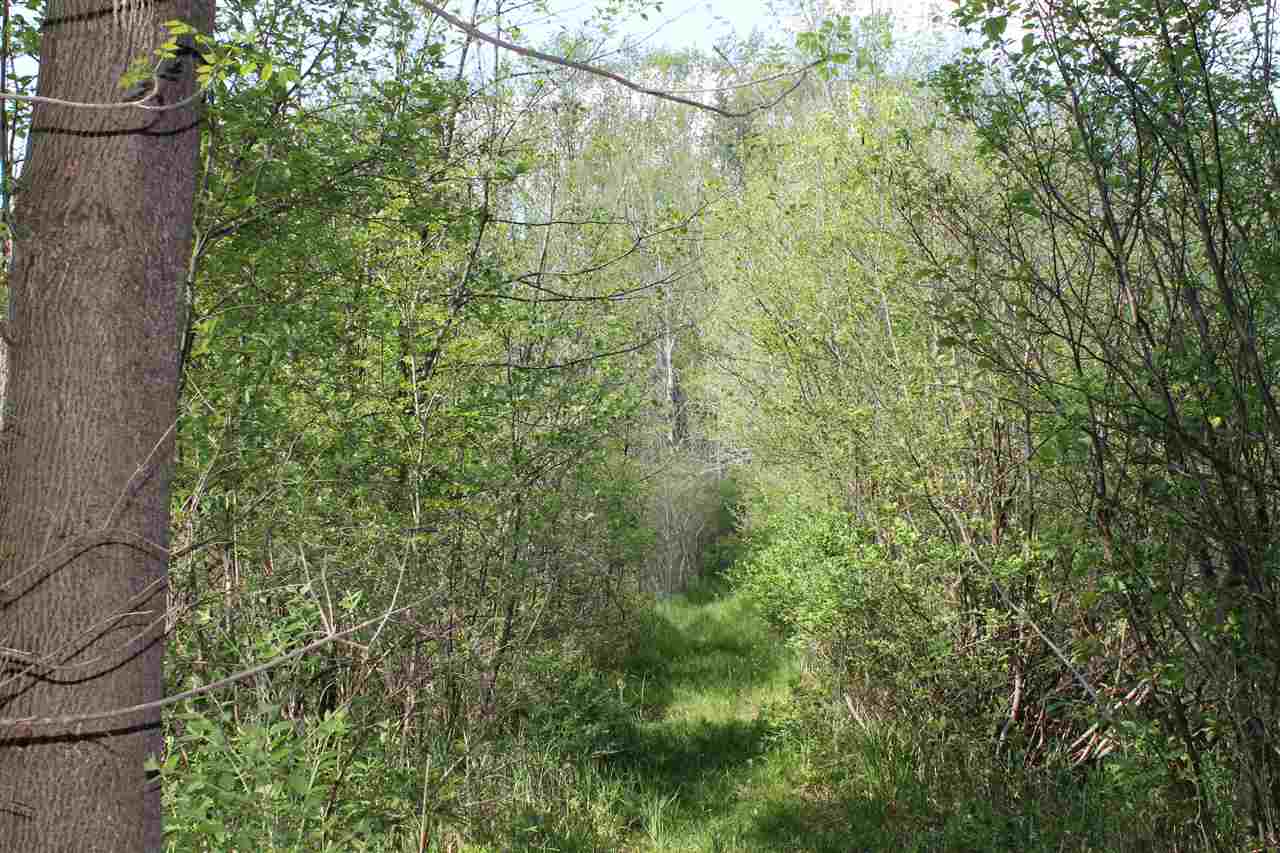 West Broomfield Road Remus, MI 49340 - Photo 20 of 32 1800166-19.JPG