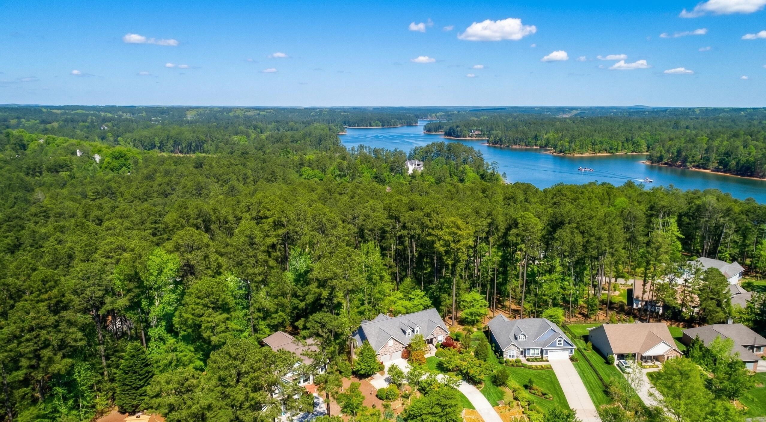 174 Tara Drive McCormick, SC 29835 - Photo 36 of 36 174 Tara Aerial 2