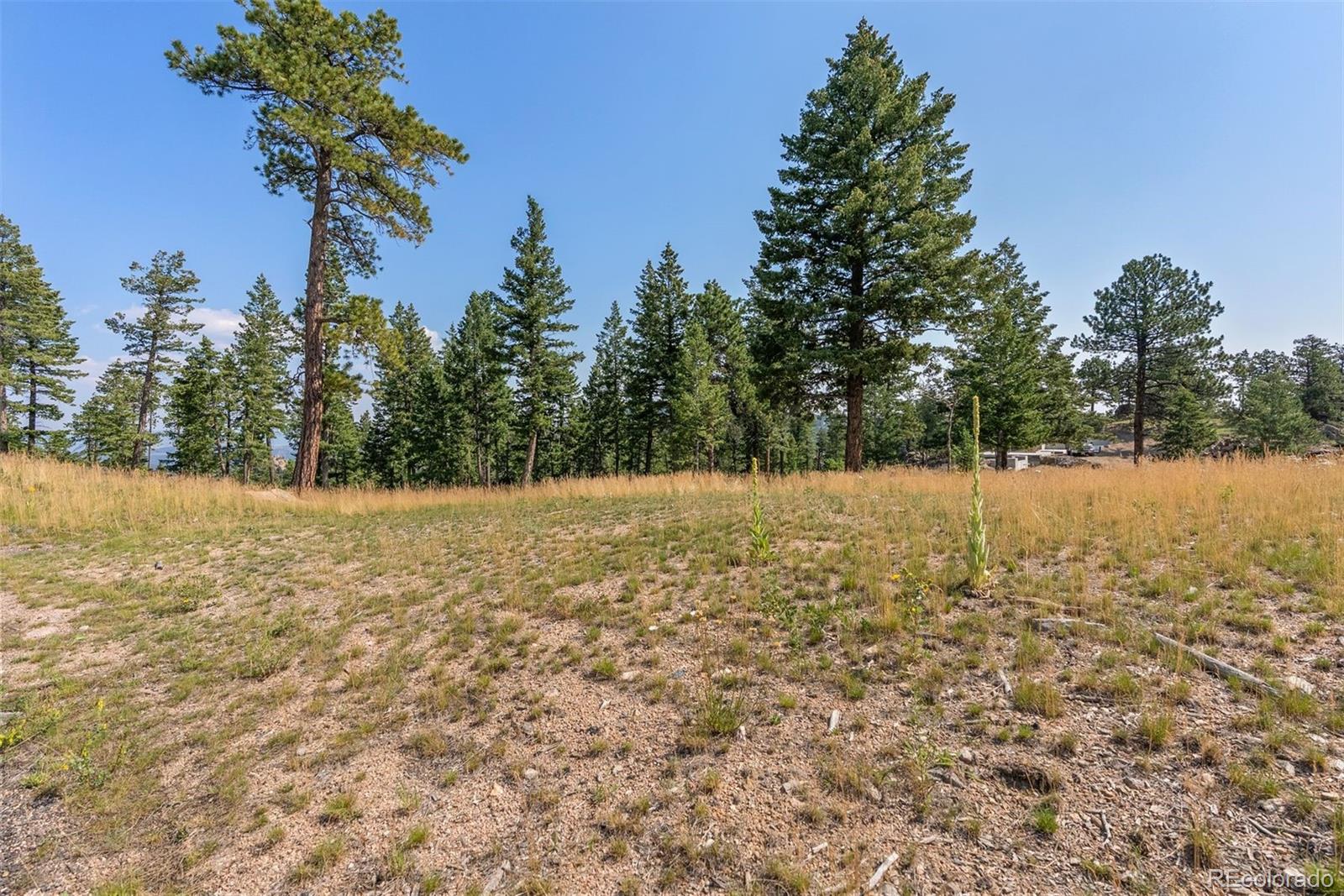 6371 Canyon Creek Road Evergreen, CO 80439 - Photo 46 of 50