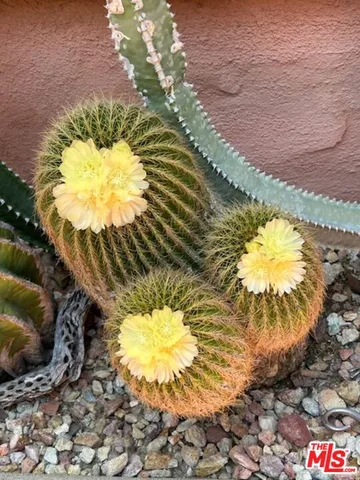 $1,750,000 | 931 South Ogden Drive, Los Angeles, CA 90036