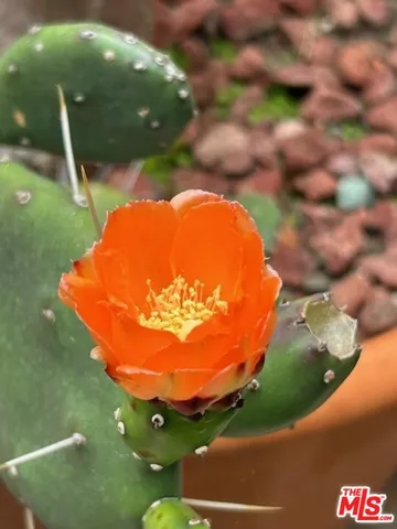 $1,750,000 | 931 South Ogden Drive, Los Angeles, CA 90036