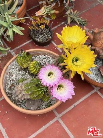 $1,750,000 | 931 South Ogden Drive, Los Angeles, CA 90036