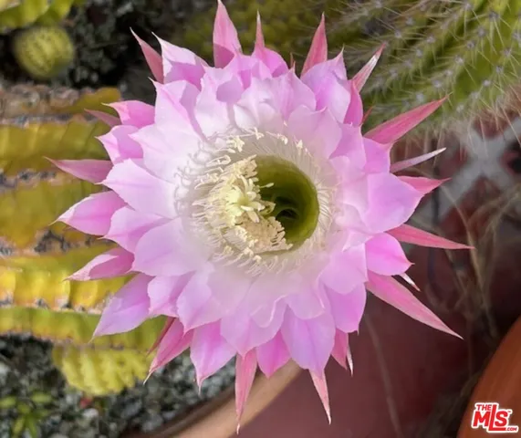 $1,750,000 | 931 South Ogden Drive, Los Angeles, CA 90036