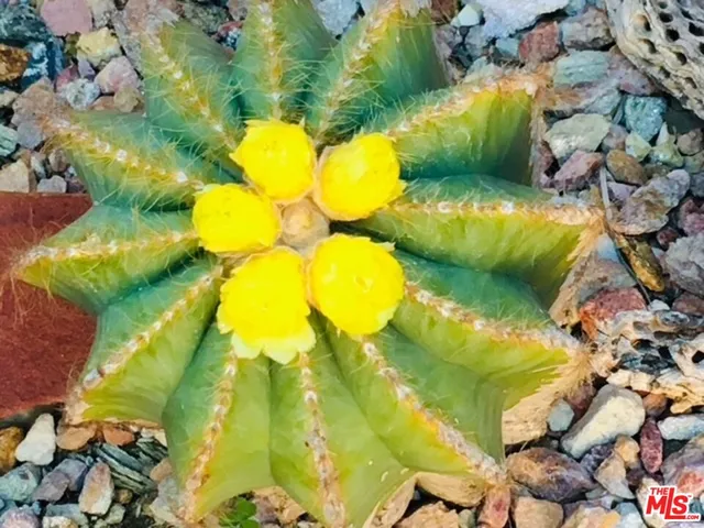 $1,750,000 | 931 South Ogden Drive, Los Angeles, CA 90036