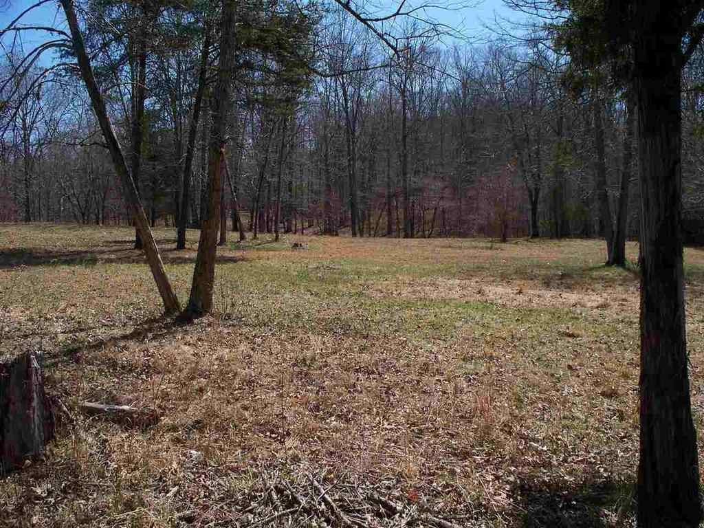 552 Groover Road Spring City, TN 37381 - Photo 1 of 1 Gallery Image 1