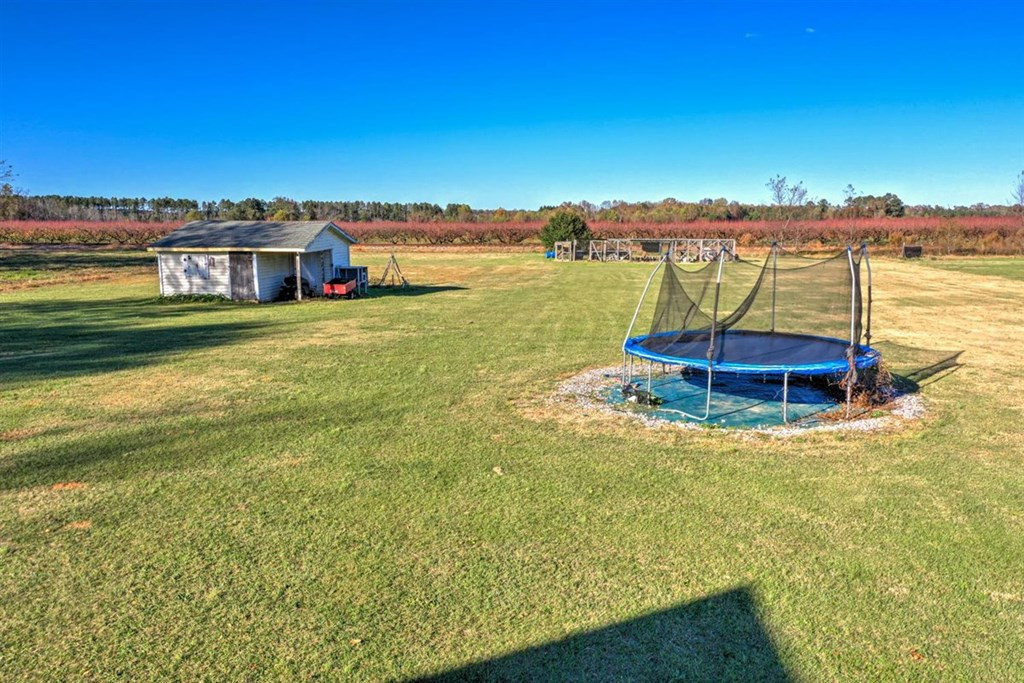 229 Early Sims Road Ridge Spring, SC 29129 - Photo 34 of 41