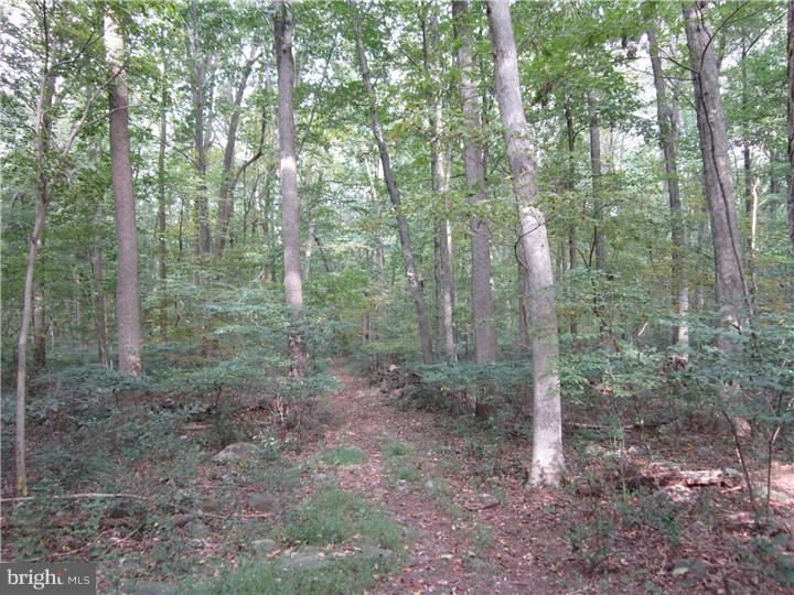 L:10 L:10 Ridge Road Telford, PA 18969 - Photo 4 of 8