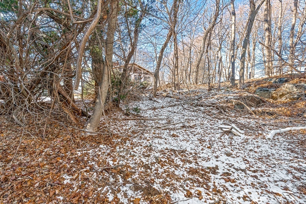 7 Trinity Road Winchester, MA 01890 - Photo 41 of 42