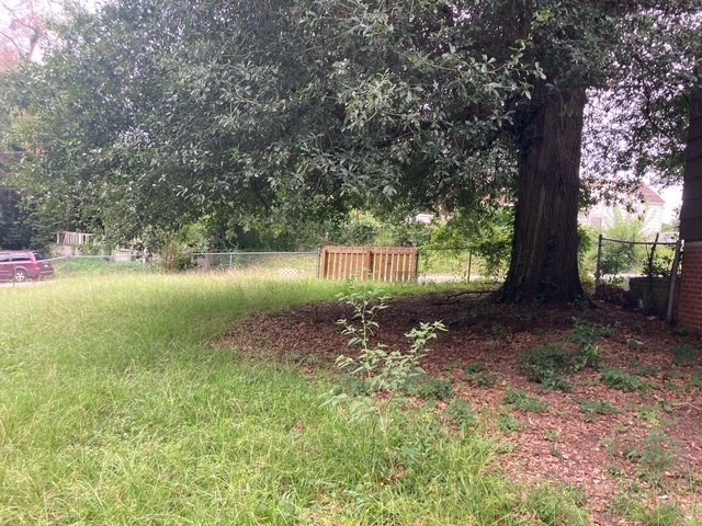 702 Lawyers Lane Columbus, GA 31906 - Photo 3 of 17 a view of a garden with a tree
