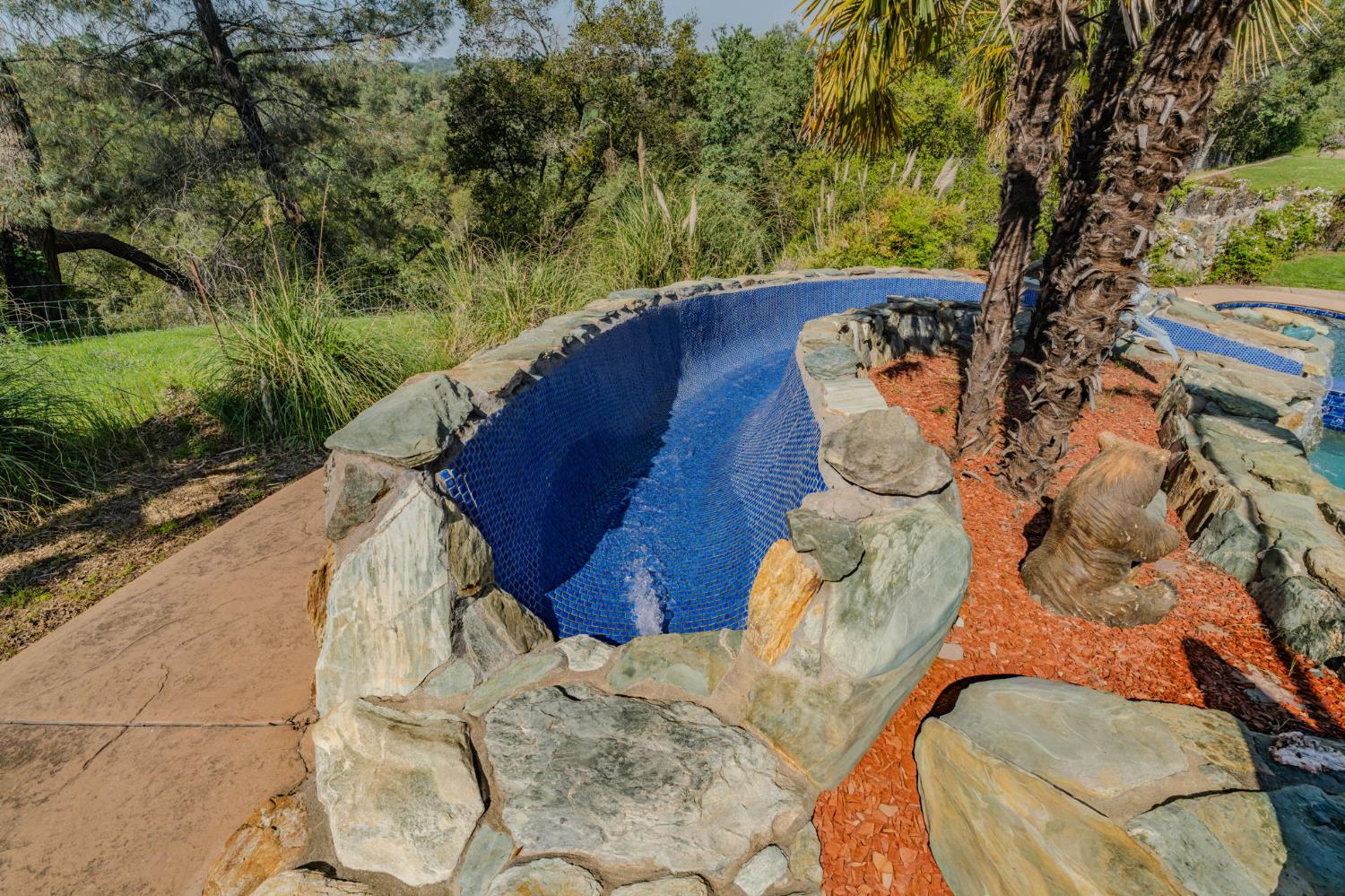 6910 Tonzi Road Ione, CA 95640 - Photo 15 of 97