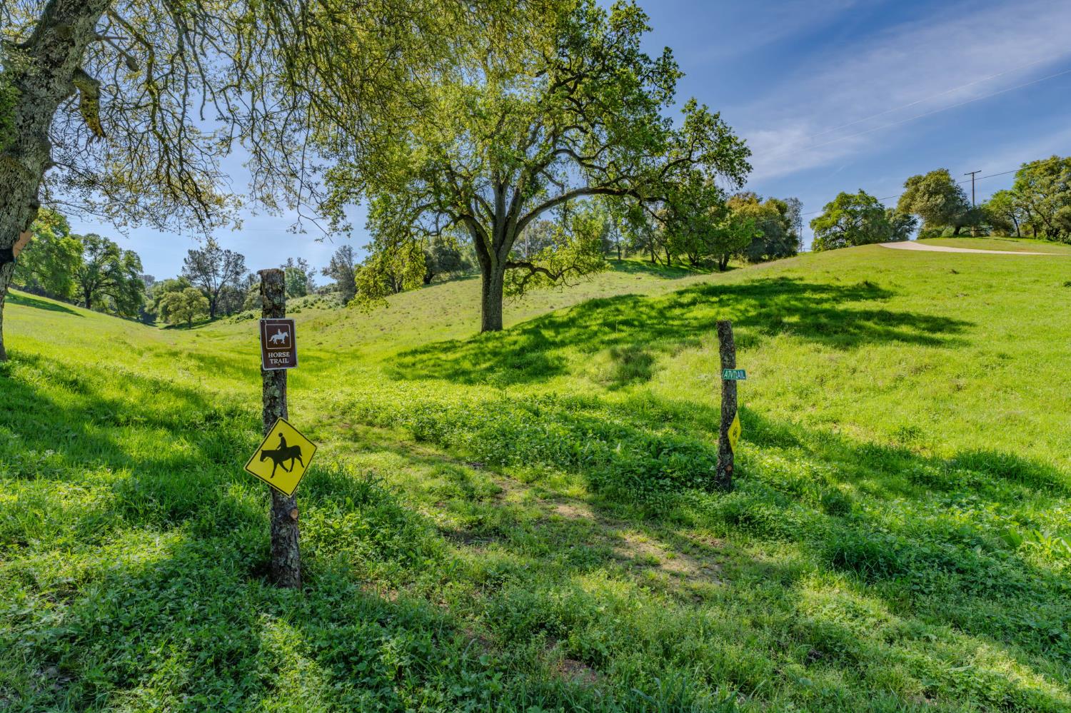 6910 Tonzi Road Ione, CA 95640 - Photo 26 of 97