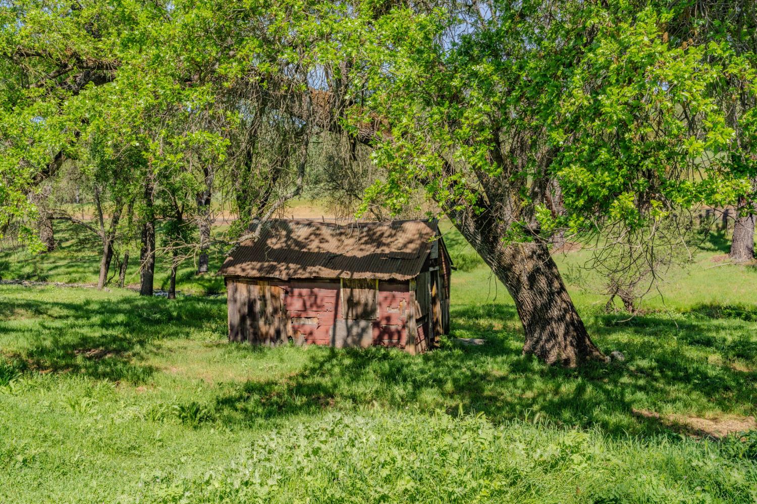 6910 Tonzi Road Ione, CA 95640 - Photo 27 of 97