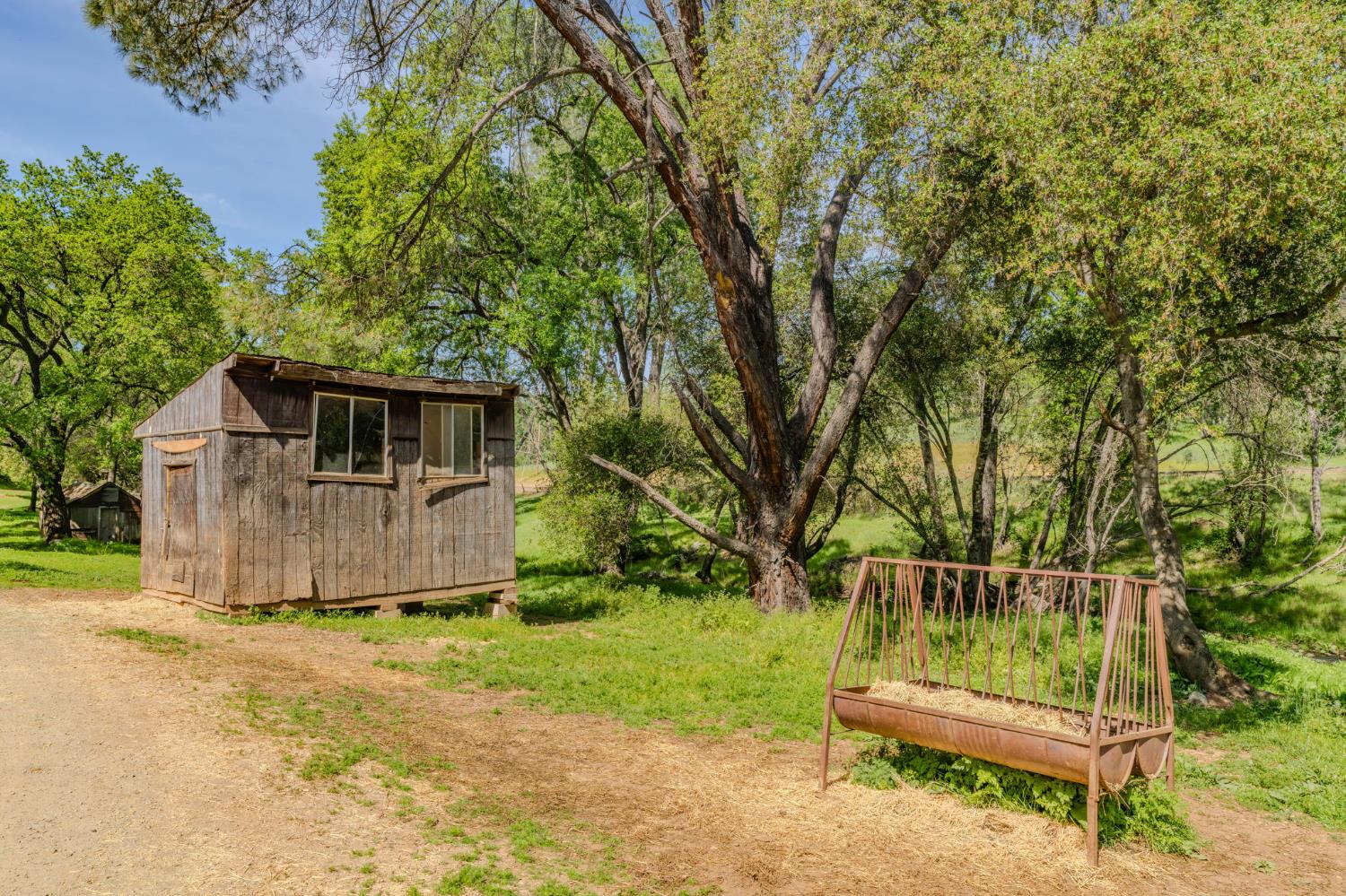 6910 Tonzi Road Ione, CA 95640 - Photo 29 of 99