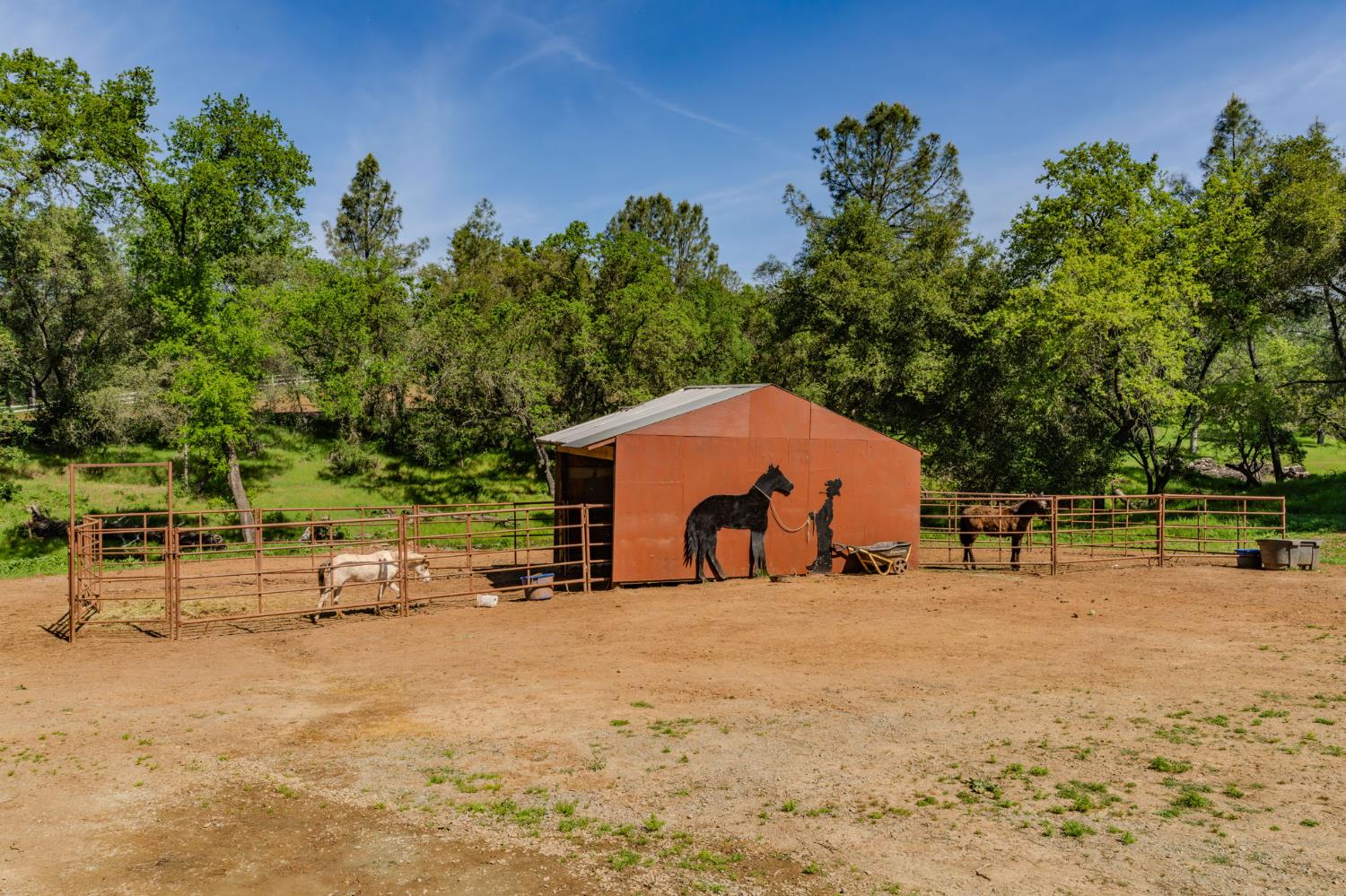 6910 Tonzi Road Ione, CA 95640 - Photo 30 of 97