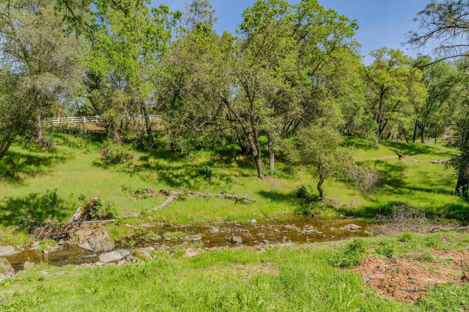6910 Tonzi Road Ione, CA 95640 - Photo 32 of 99