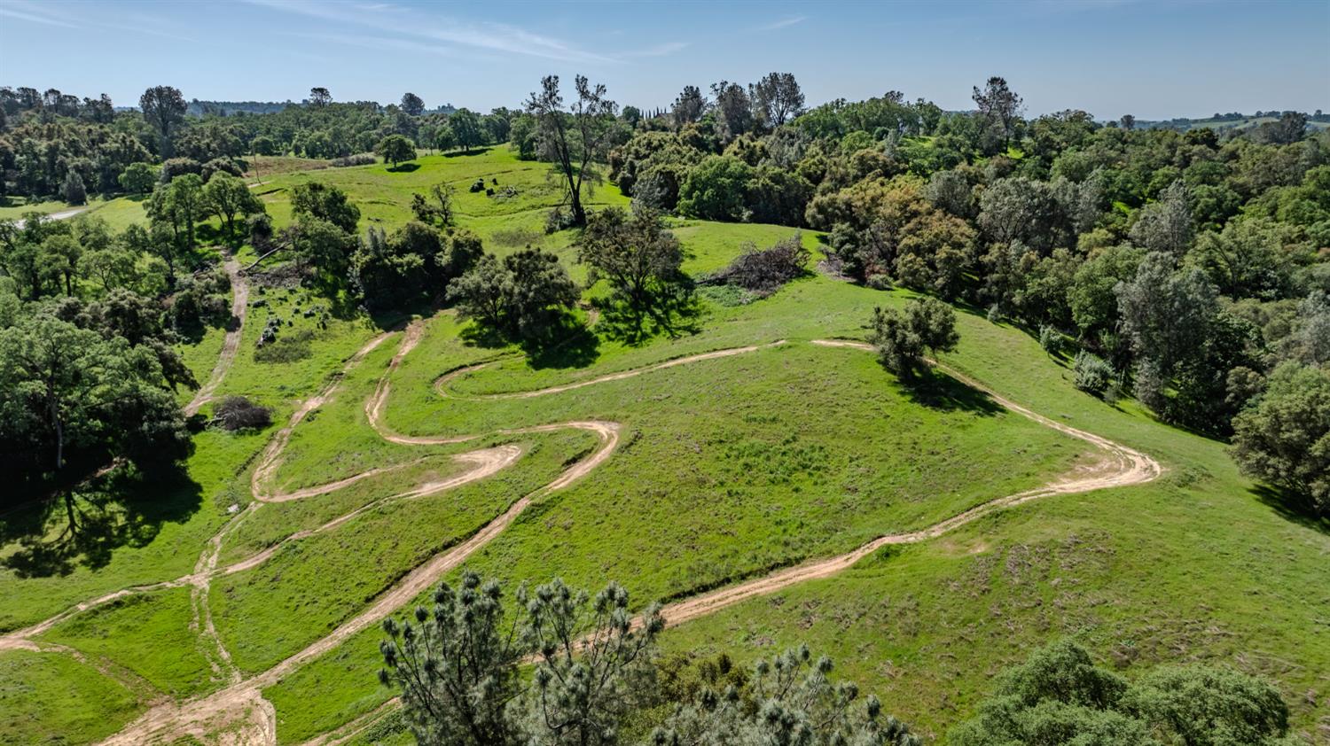 6910 Tonzi Road Ione, CA 95640 - Photo 74 of 97