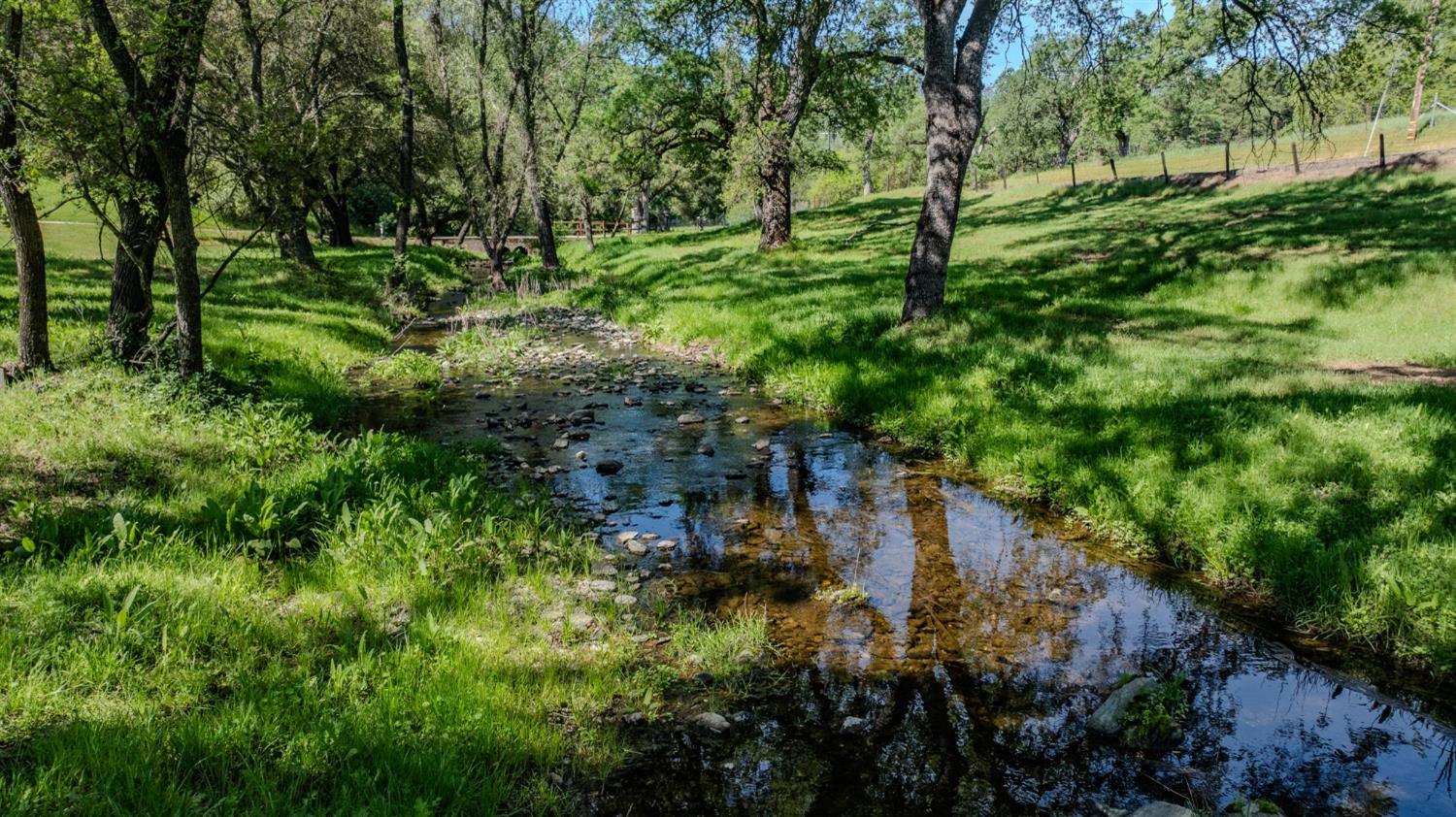 6910 Tonzi Road Ione, CA 95640 - Photo 77 of 97