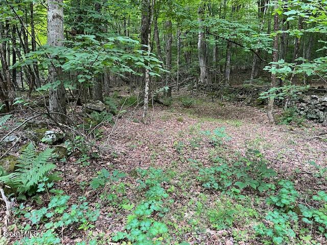 L34 Fred Jensen Road Middleburgh, NY 12122 - Photo 5 of 20 IMG_5691
