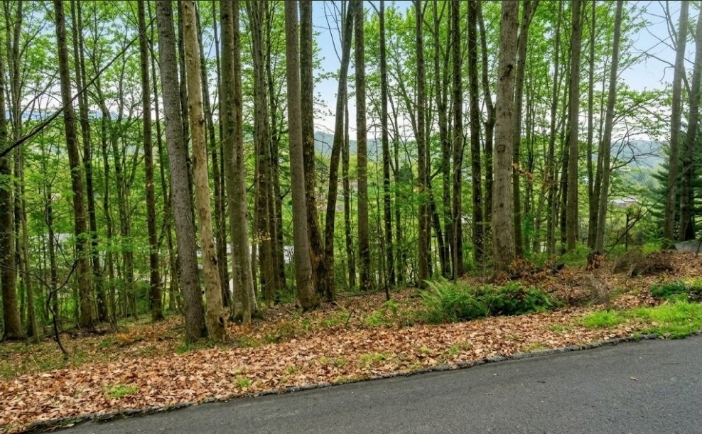 0 Carlton Road Bristol, TN 37620 - Photo 2 of 4 Gallery Image 2