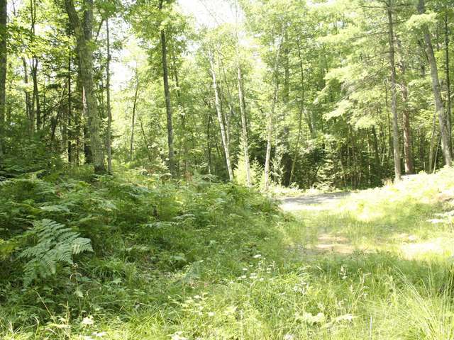 Lot 8 Blue Island Road Woodruff, WI 54568 - Photo 2 of 7 Gallery Image 2