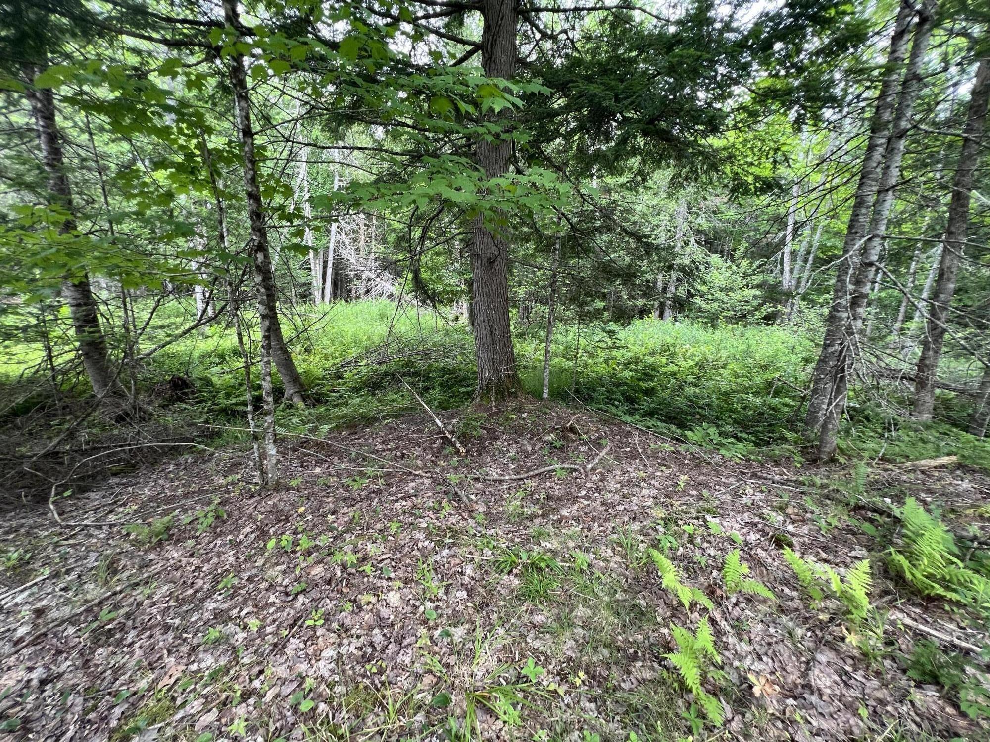 391 Hunter Road Unity, ME 04988 - Photo 21 of 30 CD4C505B-CC93-44CE-9A56-740908FAAEE5