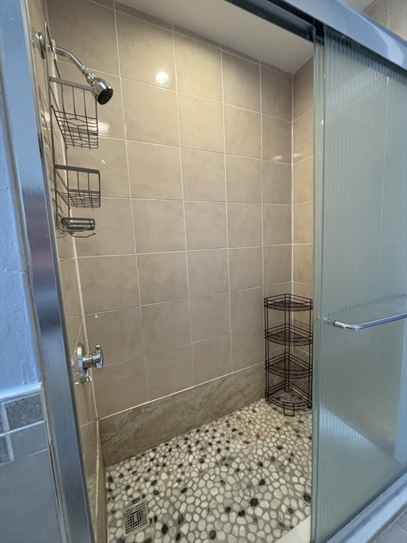 47 Undine Road, Unit 47 Boston, MA 02135 - Photo 14 of 23 Gallery Image 14