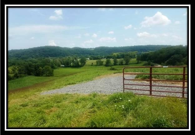 3601 Worthing Road Kimbolton, OH 43749 - Photo 7 of 10