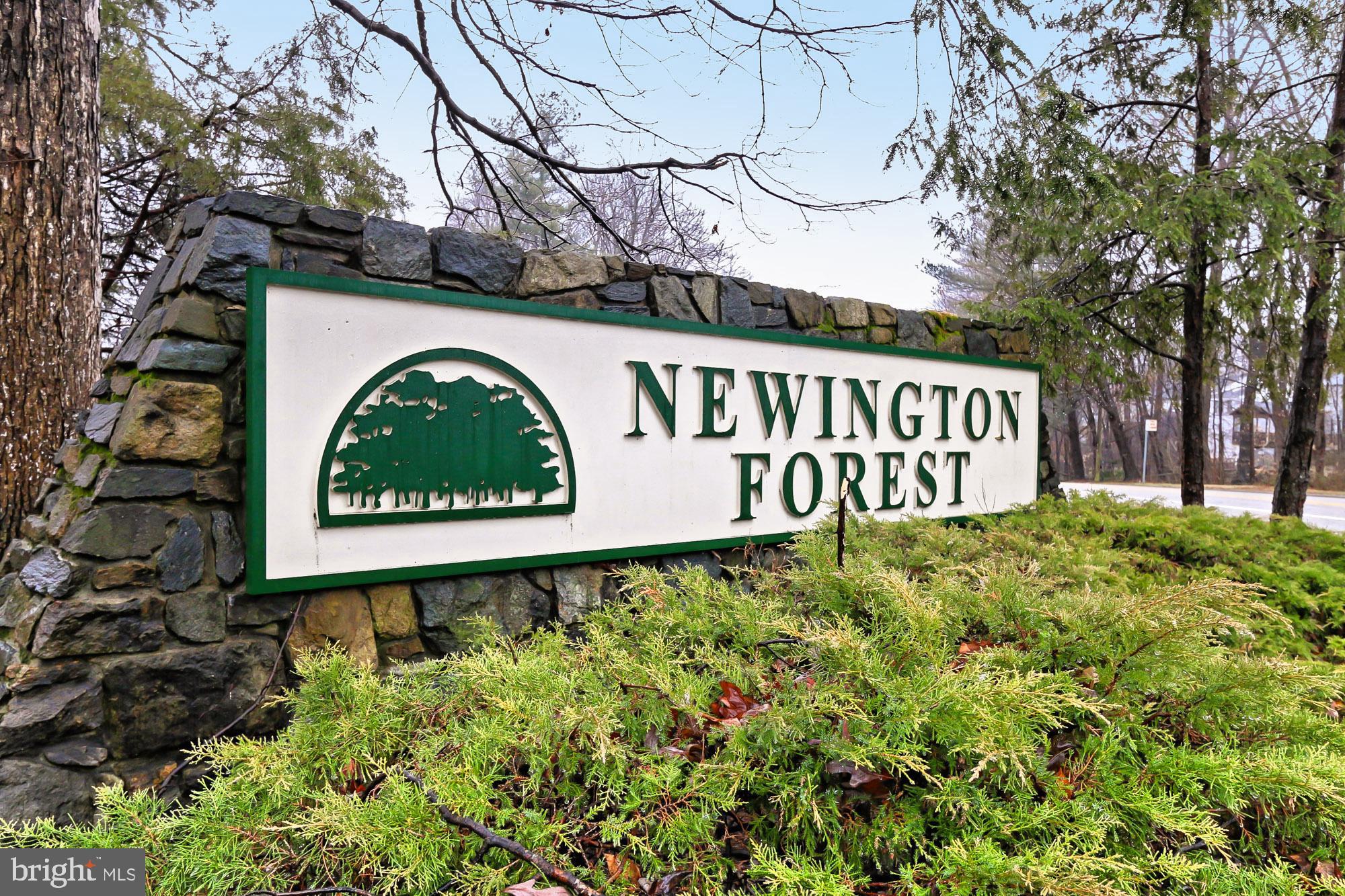 8415 Rainbow Bridge Lane Springfield, VA 22153 - Photo 36 of 36