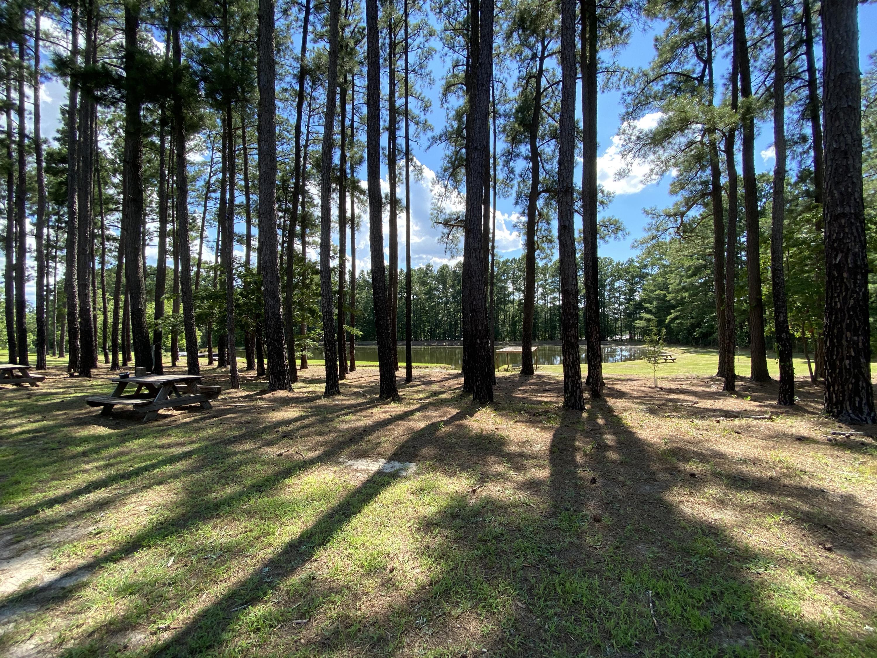 2551 Joel Road Carthage, NC 28327 - Photo 22 of 28 Yard