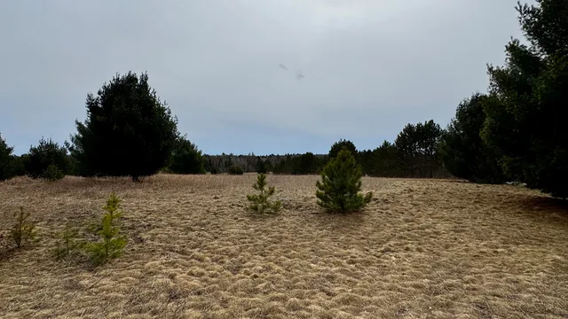 $16,000 | Lot #22 Wedgewood Court, Cadillac, MI 49601