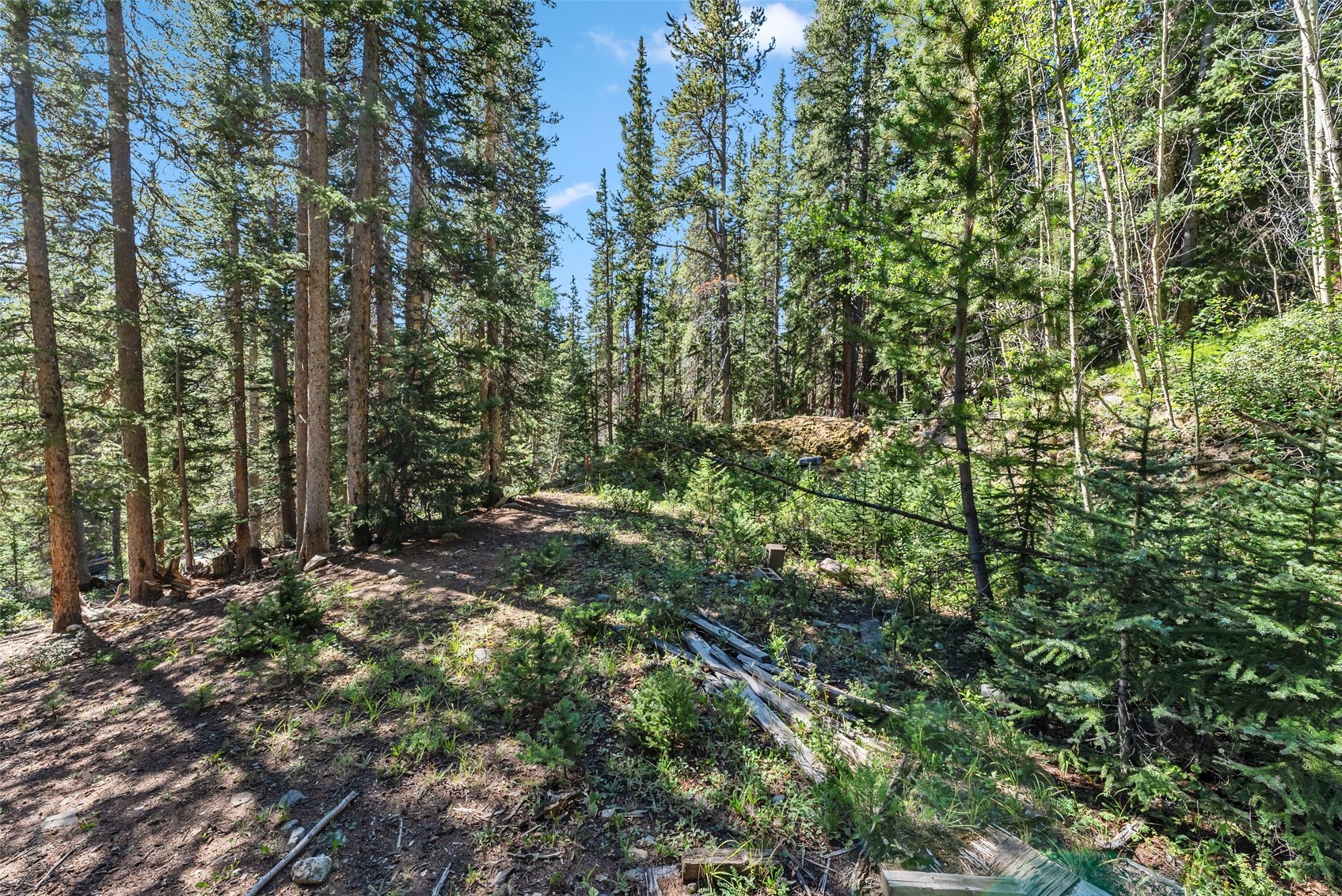 289 Ridge Road Alma, CO 80420 - Photo 19 of 25 Gallery Image 19