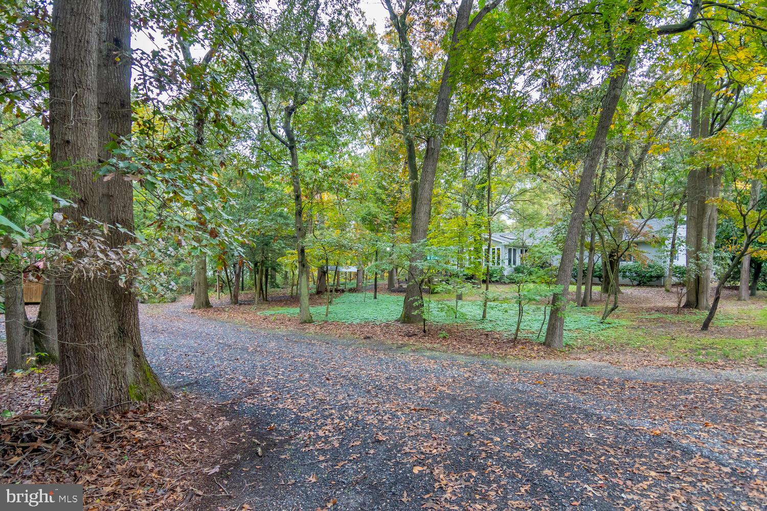 2730 Meadowbrook Road Federalsburg, MD 21632 - Photo 28 of 34 Gallery Image 28