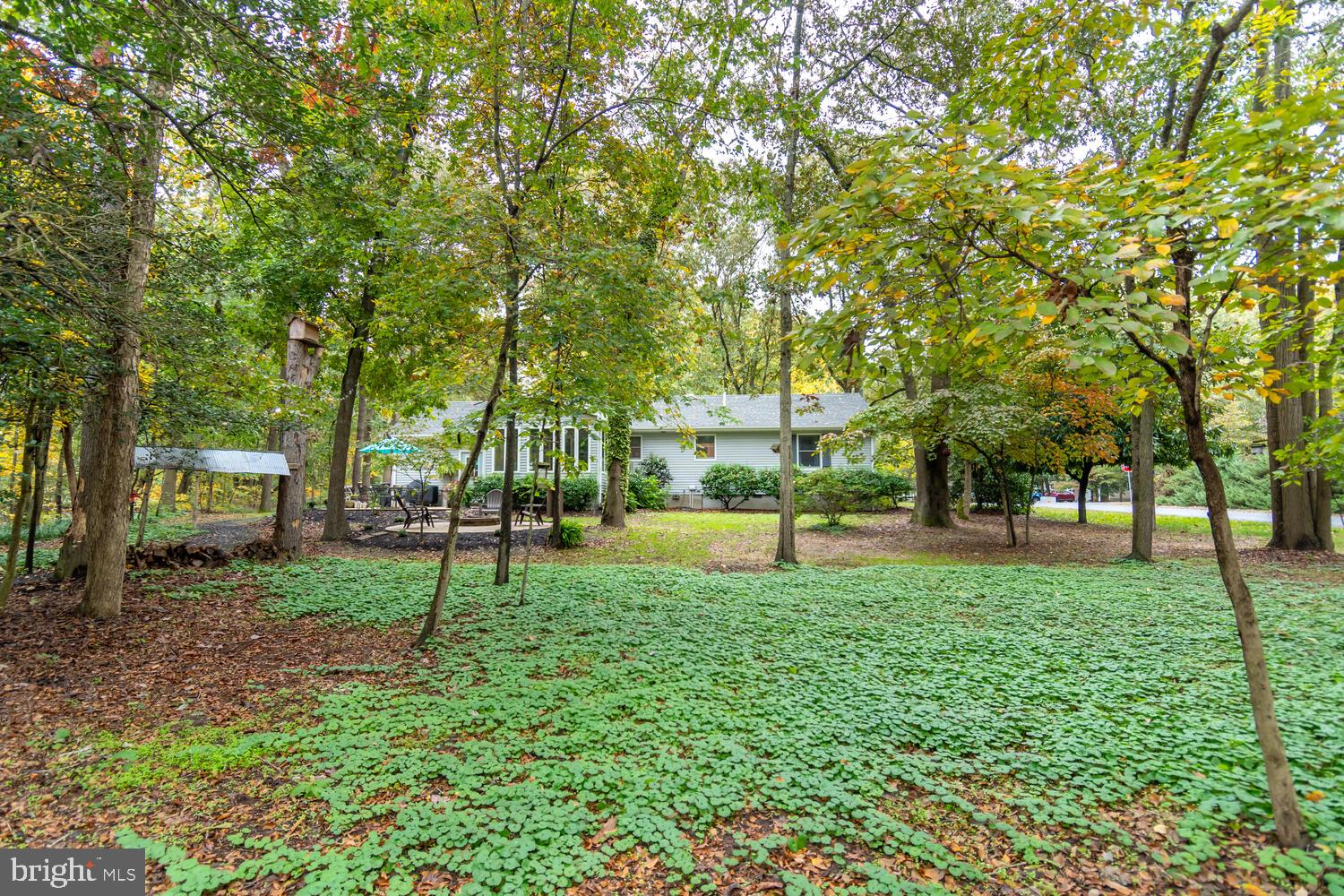 2730 Meadowbrook Road Federalsburg, MD 21632 - Photo 29 of 34 Gallery Image 29