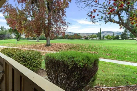 a view of a garden with an trees