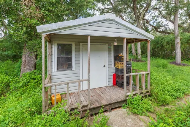 a view of a backyard with plants and large tree