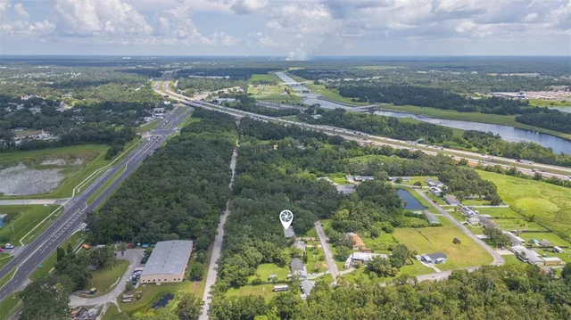 a view of a lush green forest