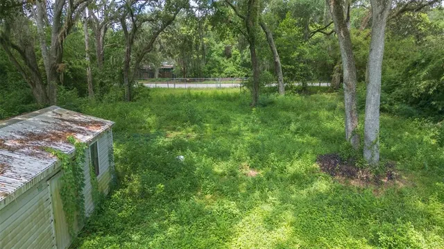 a view of yard with green space