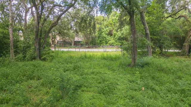 a backyard of a house with lots of plants and large trees