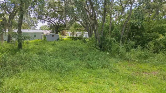 $320,000 | 9117 Wood Terrace Drive, Tampa, FL 33637