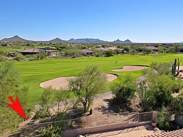 a view of a house with a yard and potted plants
