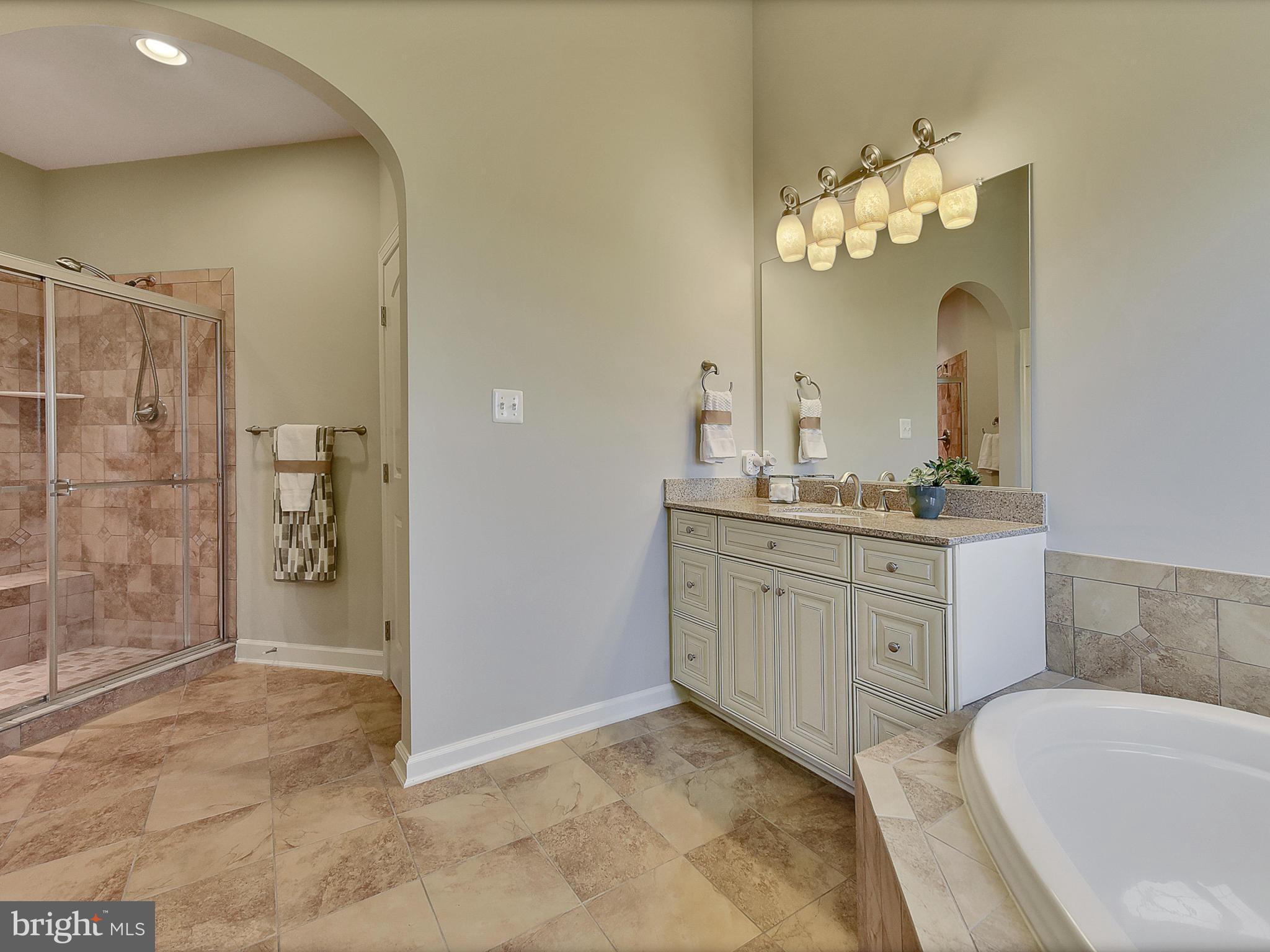 9176 Bealls Farm Road Frederick, MD 21704 - Photo 36 of 73 Master bath with soaking tub.