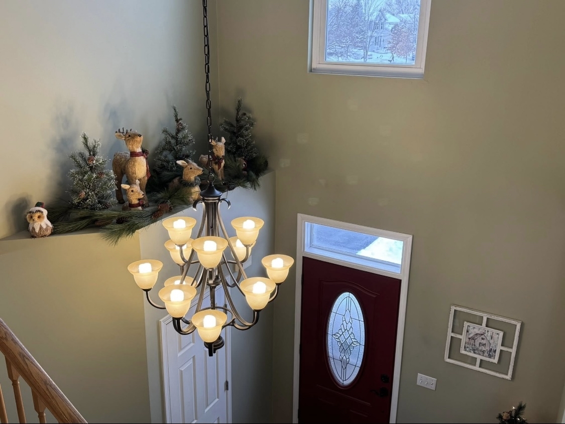 4811 Princeton Lane Lake In The Hills, IL 60156 - Photo 12 of 34