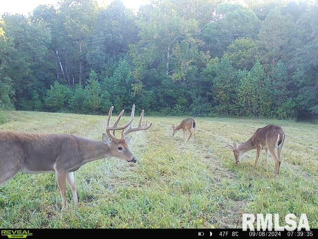 1645 Indian Point Road Vienna, IL 62995 - Photo 37 of 40