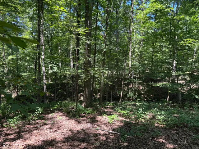 $45,000 | X Fox Court, Nineveh, IN 46164