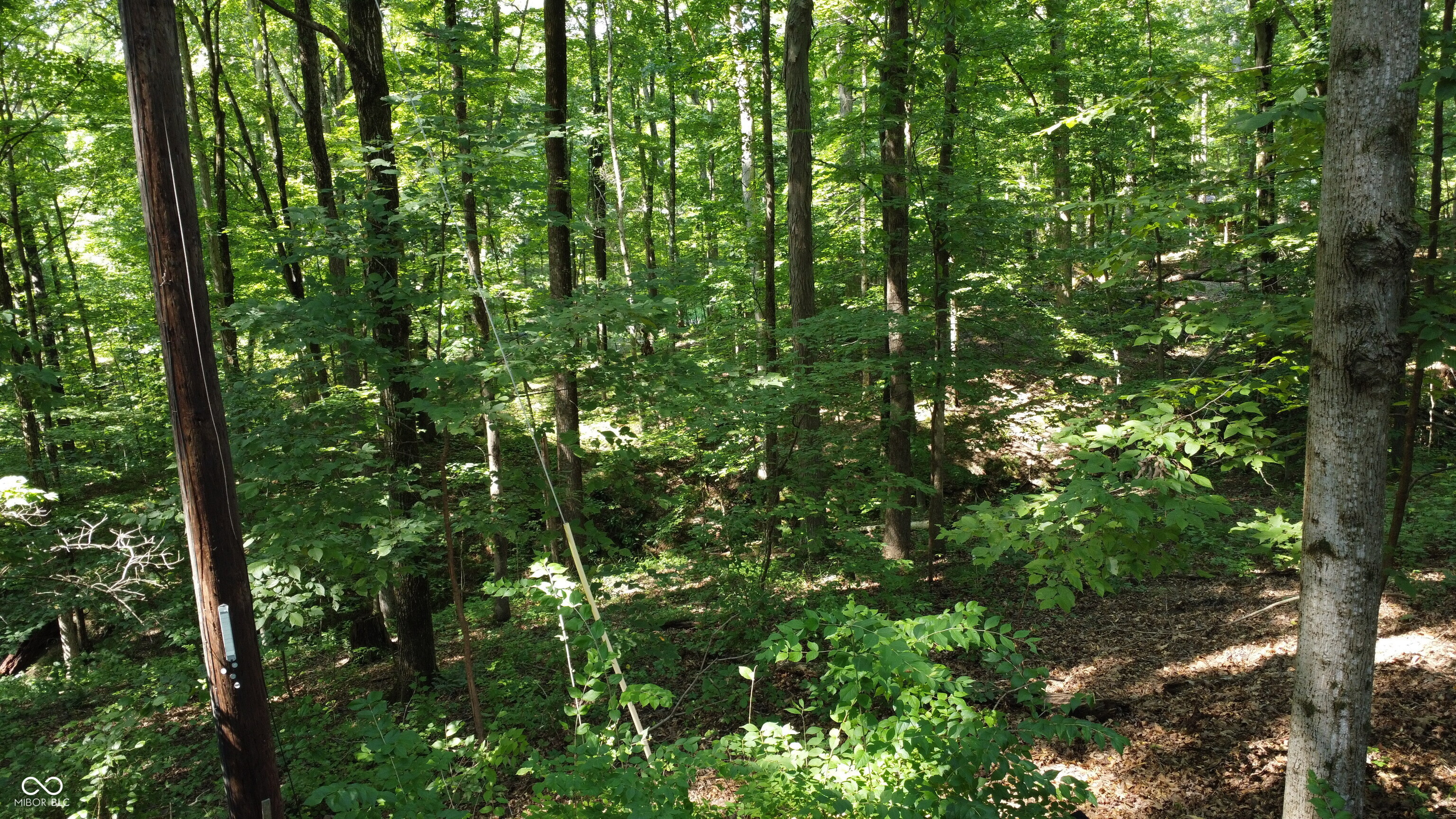 X Fox Court Nineveh, IN 46164 - Photo 13 of 24