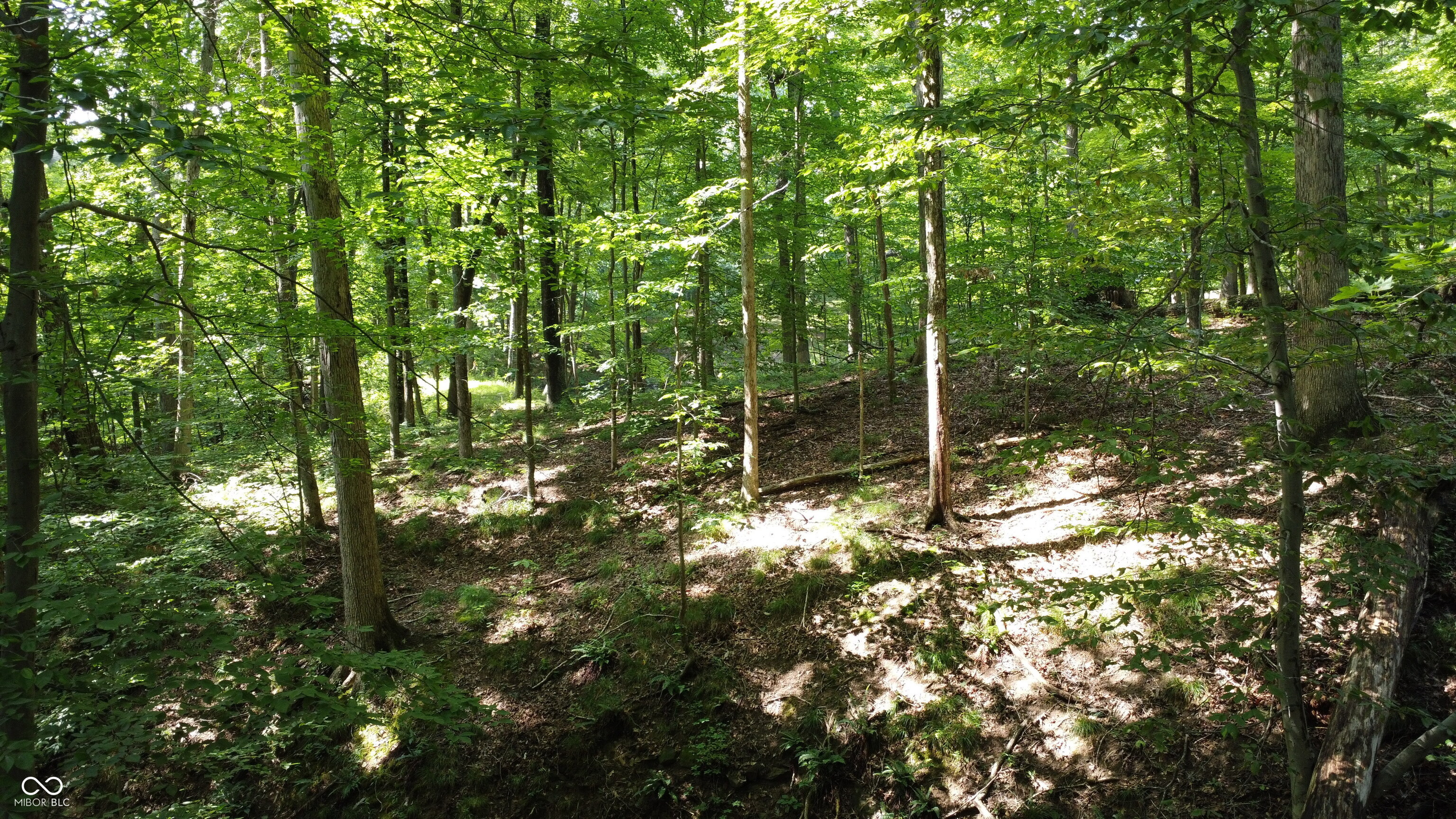 X Fox Court Nineveh, IN 46164 - Photo 15 of 24