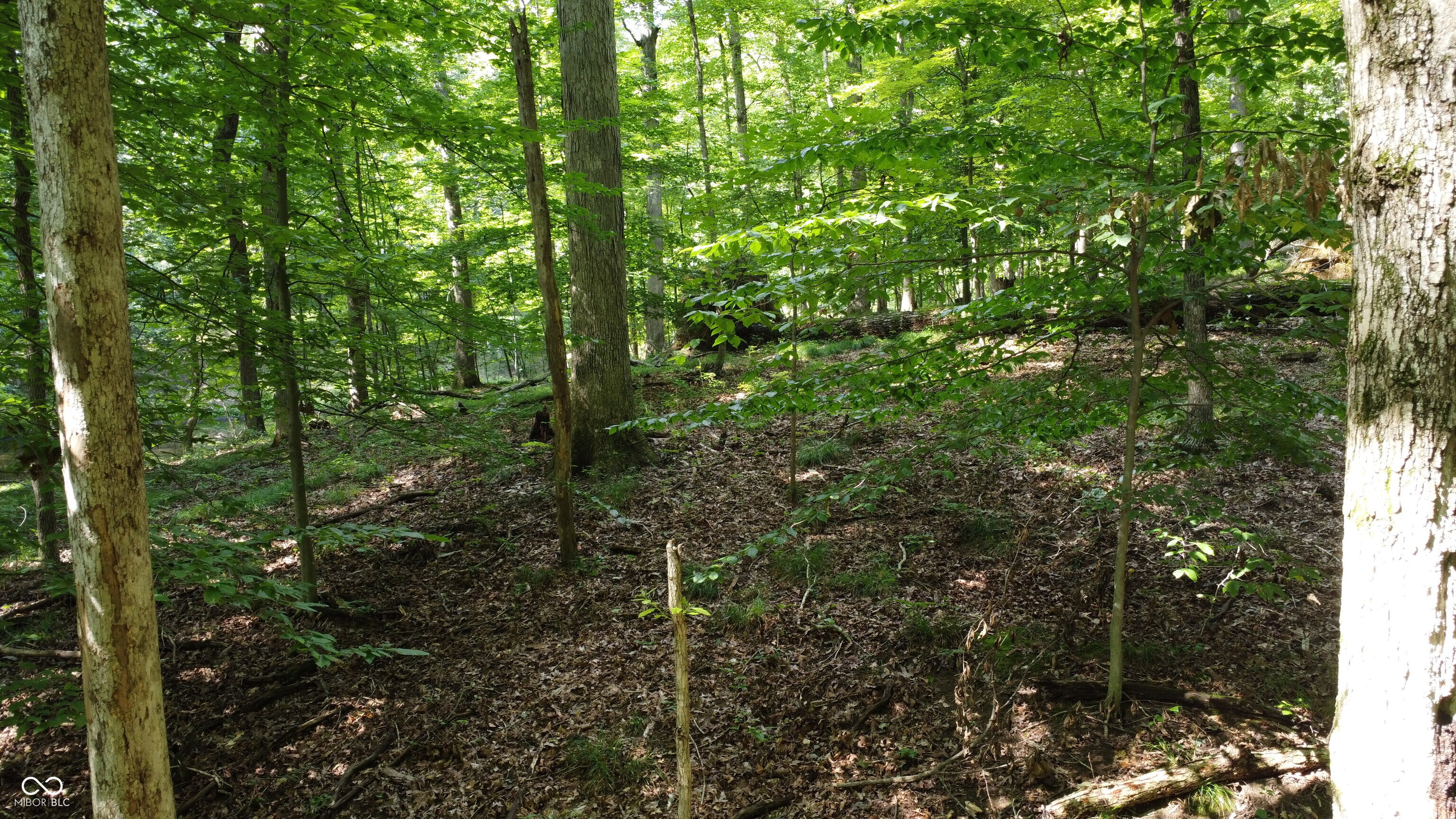 X Fox Court Nineveh, IN 46164 - Photo 16 of 24