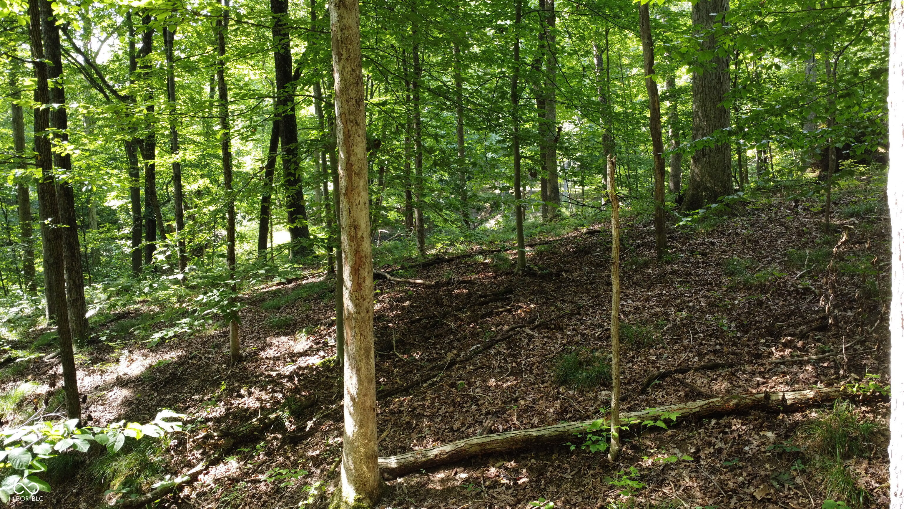 X Fox Court Nineveh, IN 46164 - Photo 17 of 24