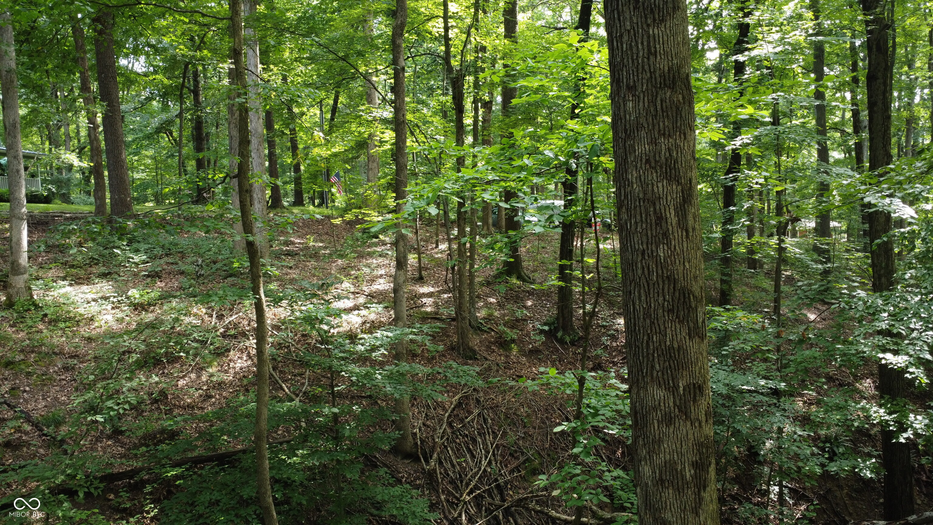 X Fox Court Nineveh, IN 46164 - Photo 19 of 24